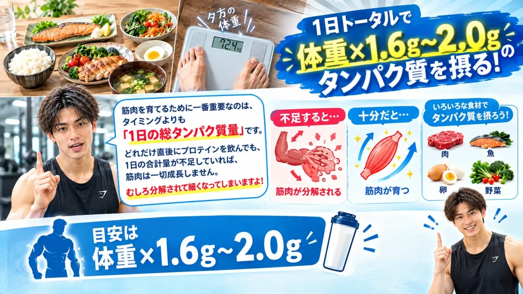 タンパク質摂取量の健康ガイド