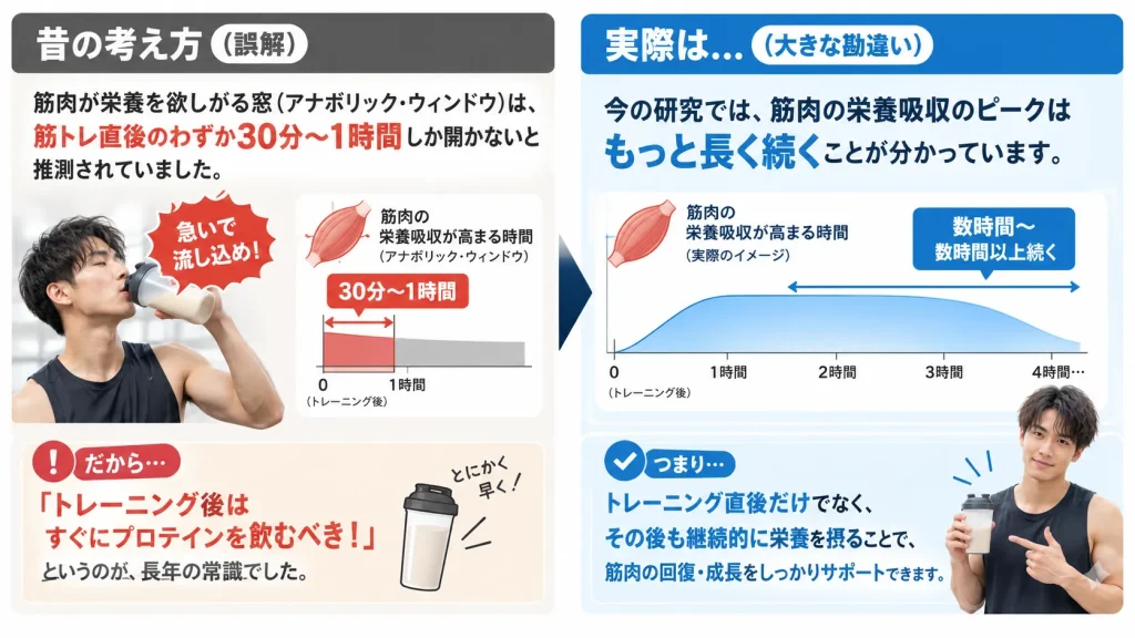 アナボリックウィンドウの真実